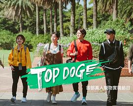 乐播传媒《TOP DOG》免费在线观看