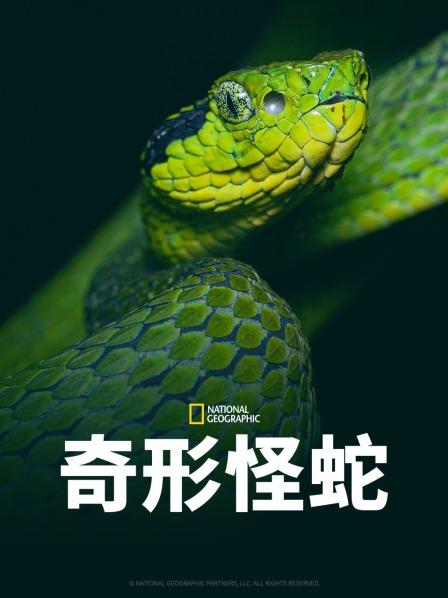 九一果冻《奇形怪蛇》免费在线观看